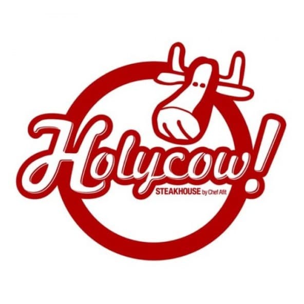 Logo partner ELS